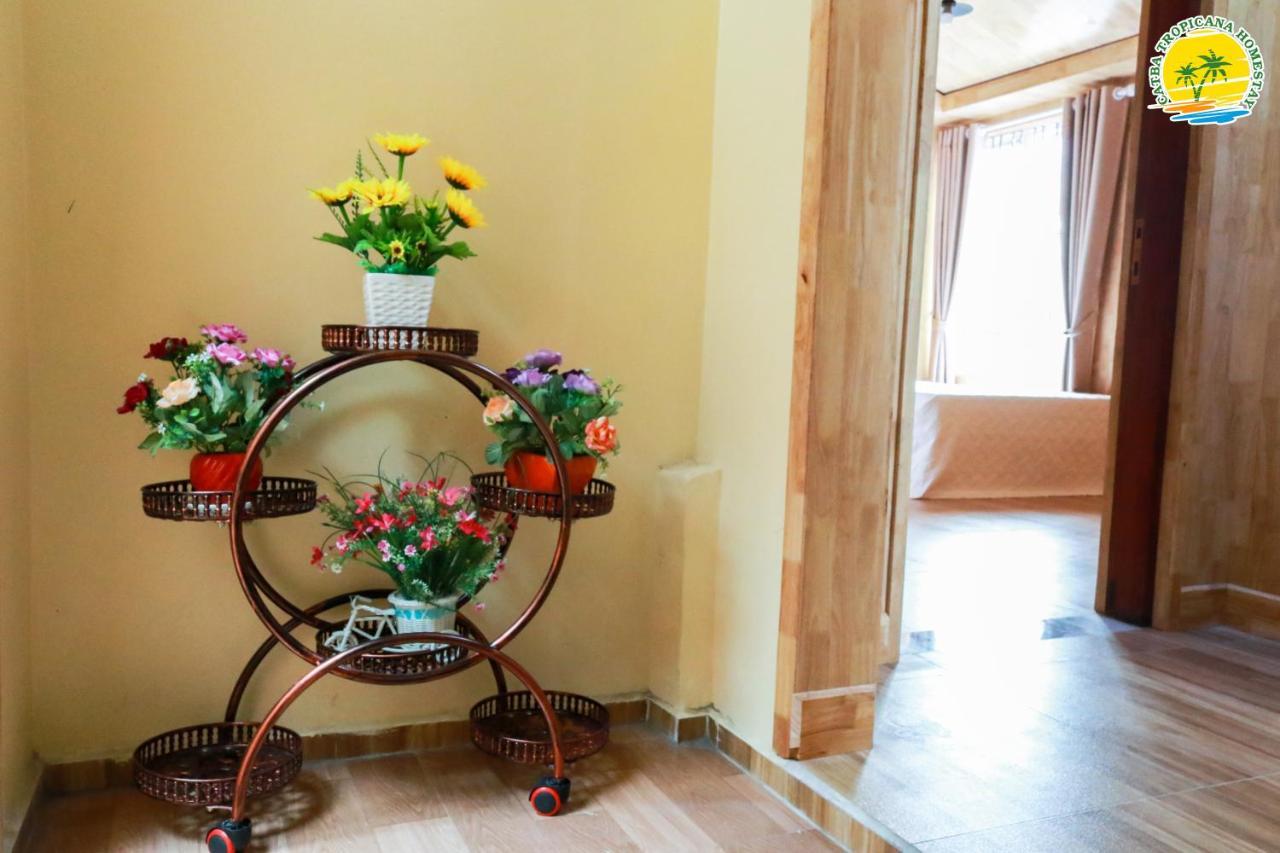 Cat Ba Tropicana Homestay Cat Ba Island Zewnętrze zdjęcie