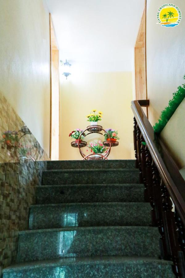 Cat Ba Tropicana Homestay Cat Ba Island Zewnętrze zdjęcie